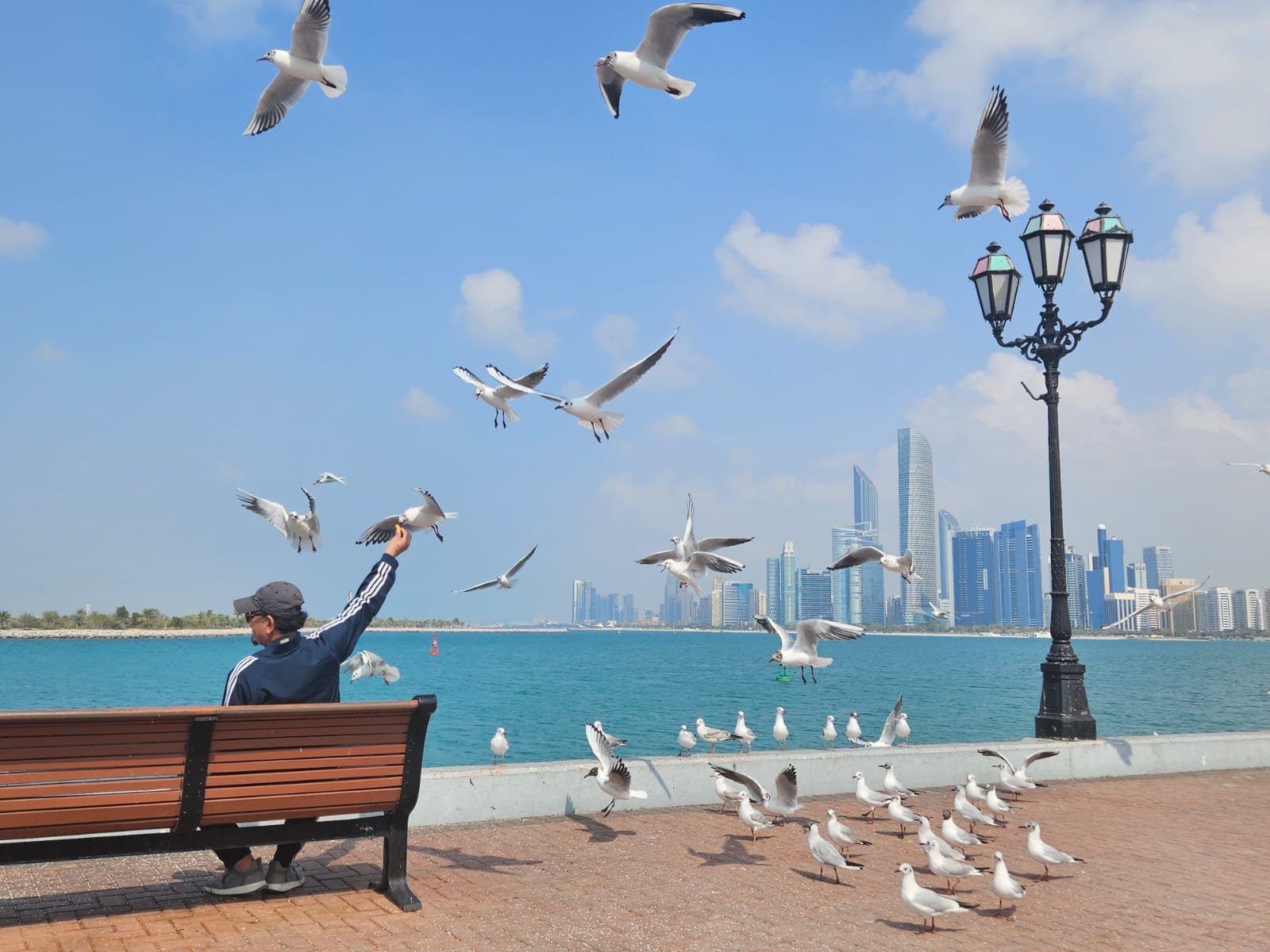 Man relaxing on Corniche Beach, surrounded by birds near the shoreline.