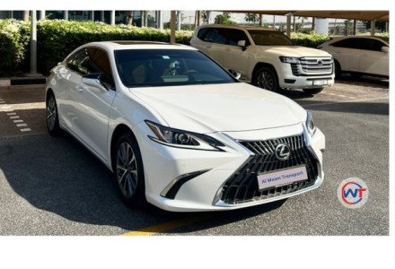 LS 500 — 4 Seater Car